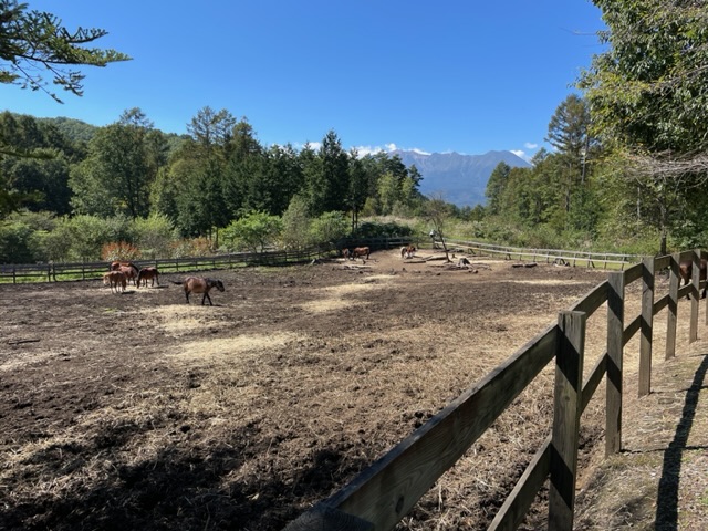 木曽馬の里から見える御嶽山